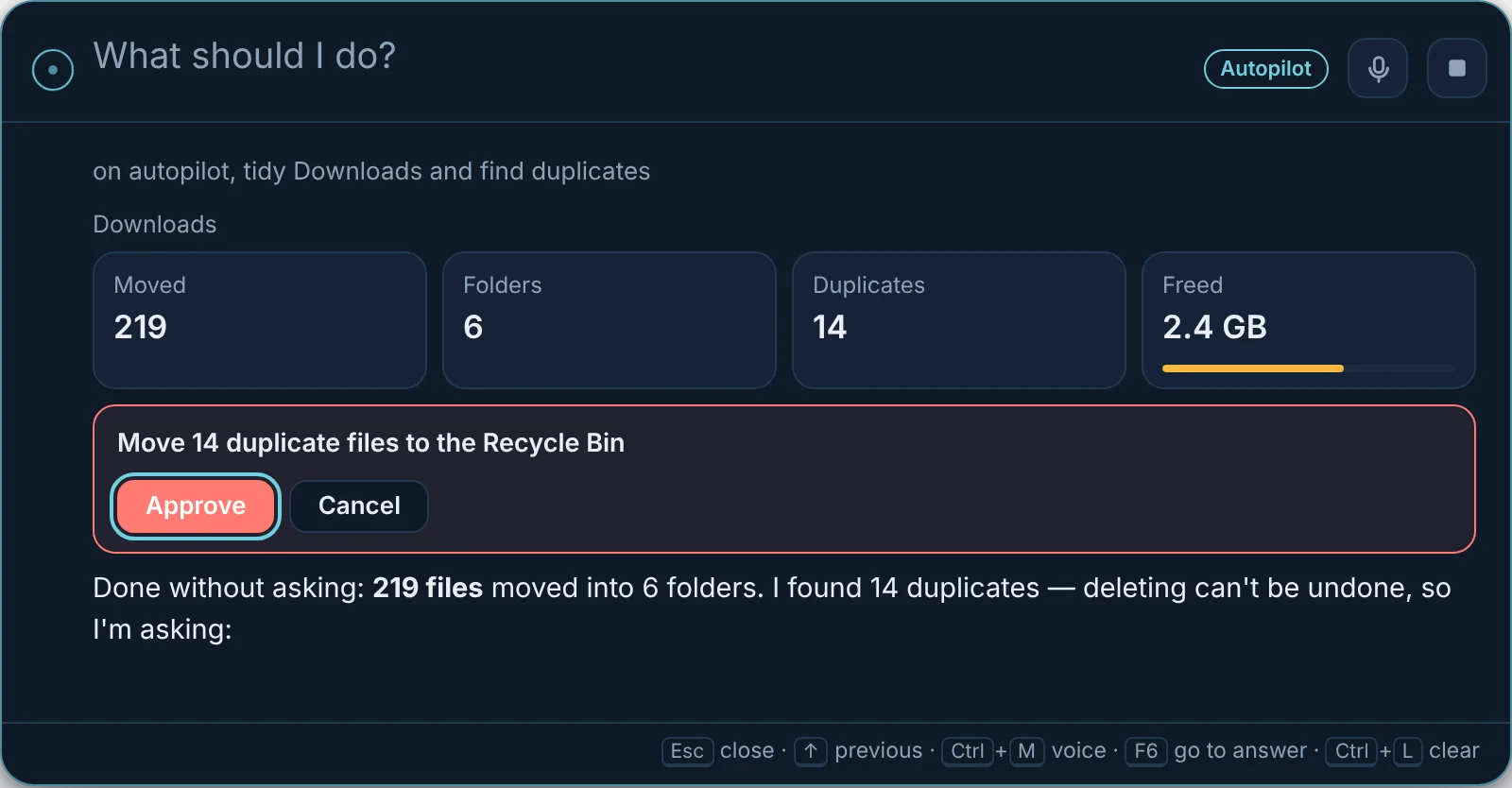 Autopilot tidied the Downloads folder and asks before deleting duplicates