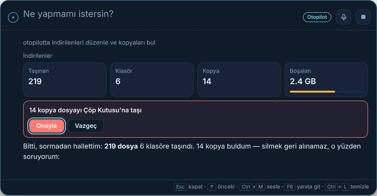 Otopilot İndirilenler klasörünü düzenledi ve kopyaları silmek için onay istiyor