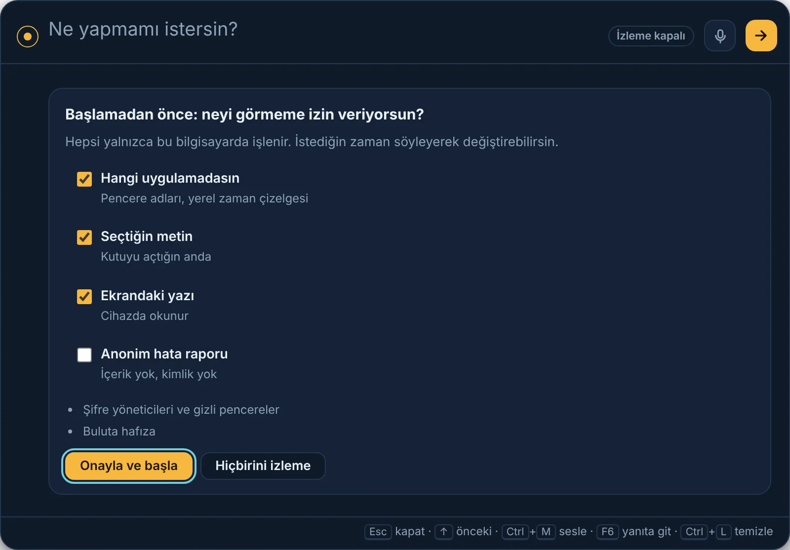 İlk açılıştaki gizlilik onayı kartı